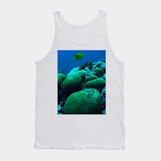 Red Sea Coral Reef Tank Top